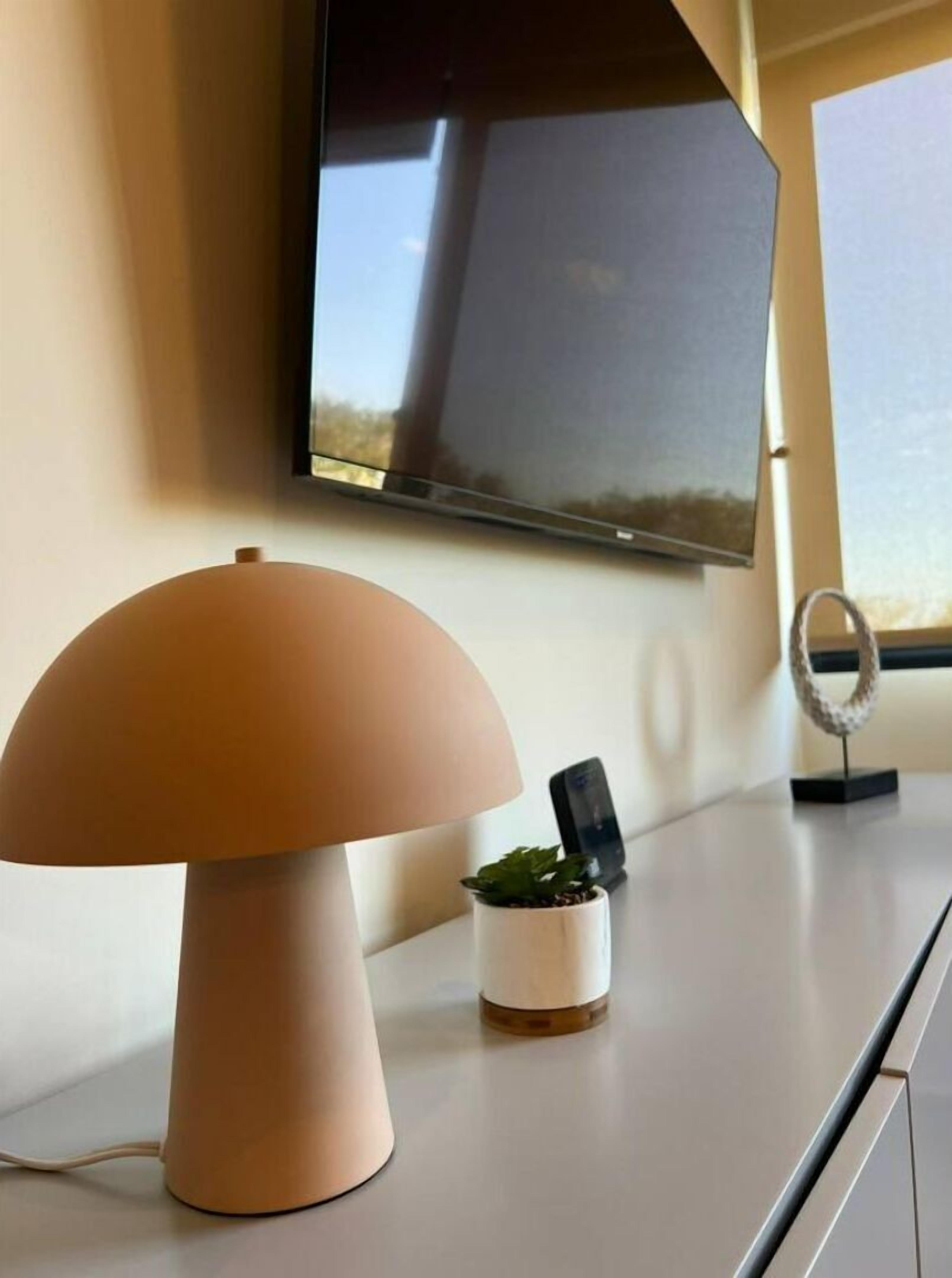 A modern room with a large flat-screen TV mounted on the wall, a minimalist lamp, and a small potted plant on a white surface.