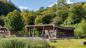 A modern wooden cabin with large windows, surrounded by lush greenery and a grassy area. - Yorkshire Dales Lodge 4 Family (Richmond)