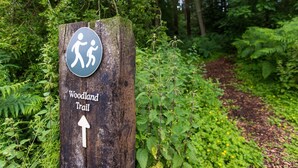 A wooden sign with a hiking symbol and the text "Woodland Trail" pointing to the right. - Yorkshire Dales Lodge 4 Family (Richmond)