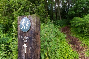 Property grounds - Yorkshire Dales Lodge 4 Family (Richmond)