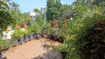 House | Property grounds