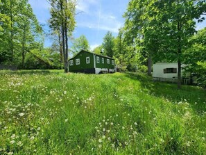Surrounded by lush greenery, this serene single-story house offers a peaceful retreat.