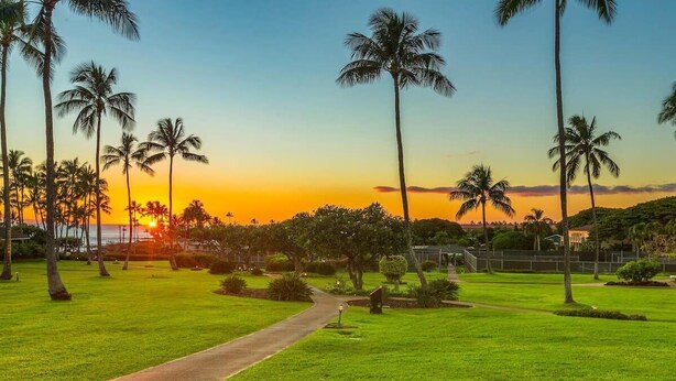Un sendero que atraviesa un parque con palmeras y un atardecer al fondo.