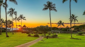 Un camino serpentea por un parque con palmeras y un atardecer al fondo.