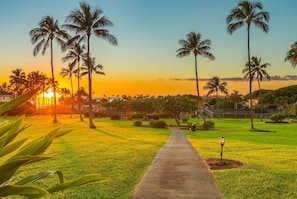 Property grounds - 3BR I Spacious Poolside Villa | Gourmet Kitchen, Lanai (Koloa)