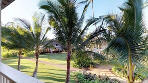 A tropical garden with palm trees and a pathway.
