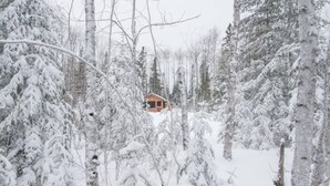 A cabin surrounded by snow-covered trees.