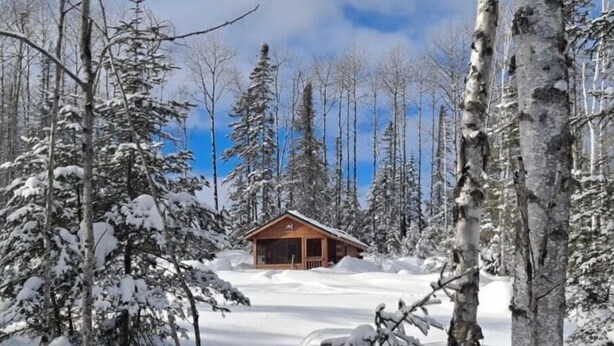A cabin surrounded by snow-covered trees.