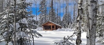 Tiny Tuloon Off-Grid Amish crafted log cabin near the BWCA & SHT - Sled Dogs!
