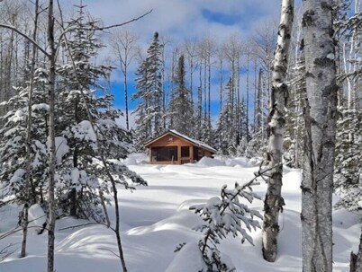 Tiny Tuloon Off-Grid Amish crafted log cabin near the BWCA & SHT - Sled Dogs!