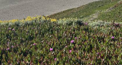 Ocean view peaceful- 7 min walk to sandy beach