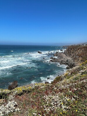Beach nearby, sun-loungers, beach towels - Ocean view peaceful- 7 min walk to sandy beach (Bodega Bay)