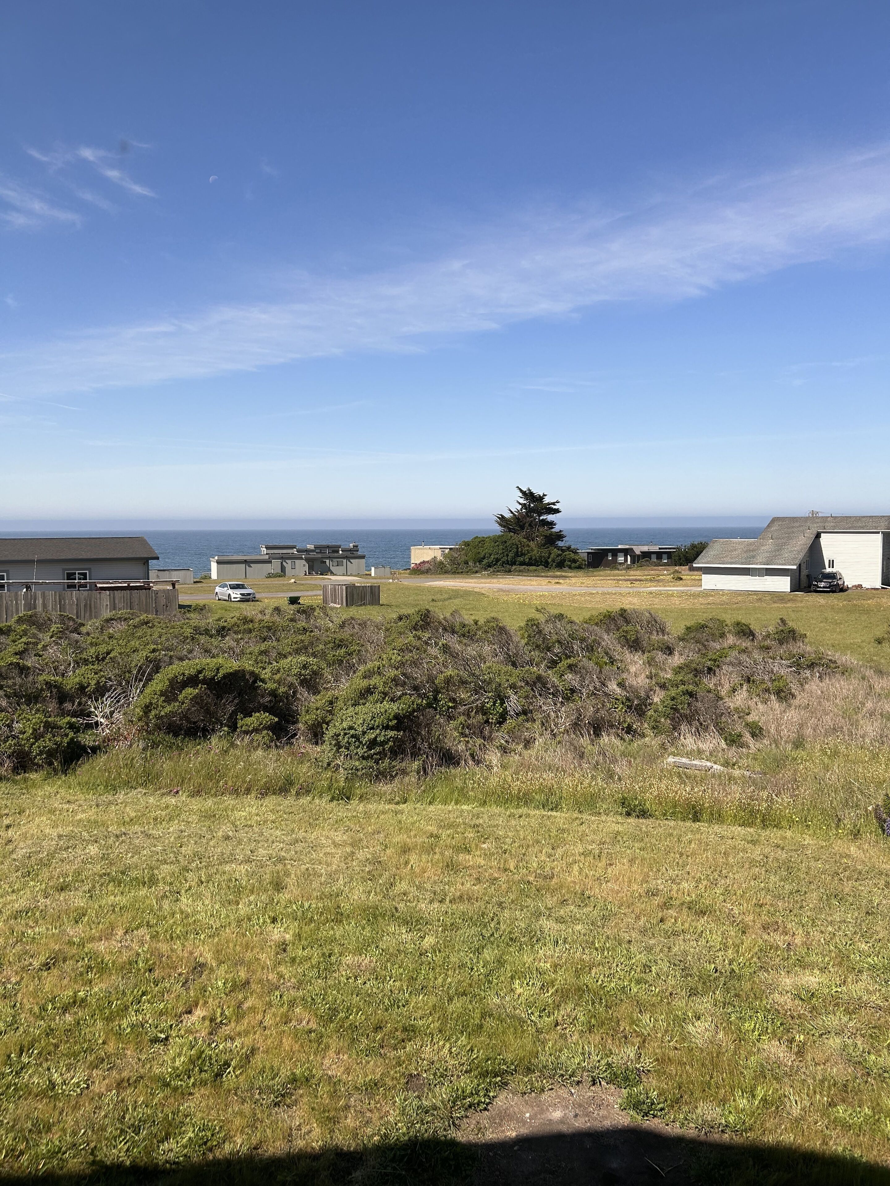 A coastal residential area with houses, a large tree, and a view of the ocean.