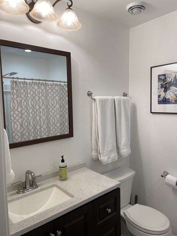 Shower, hair dryer, towels, soap