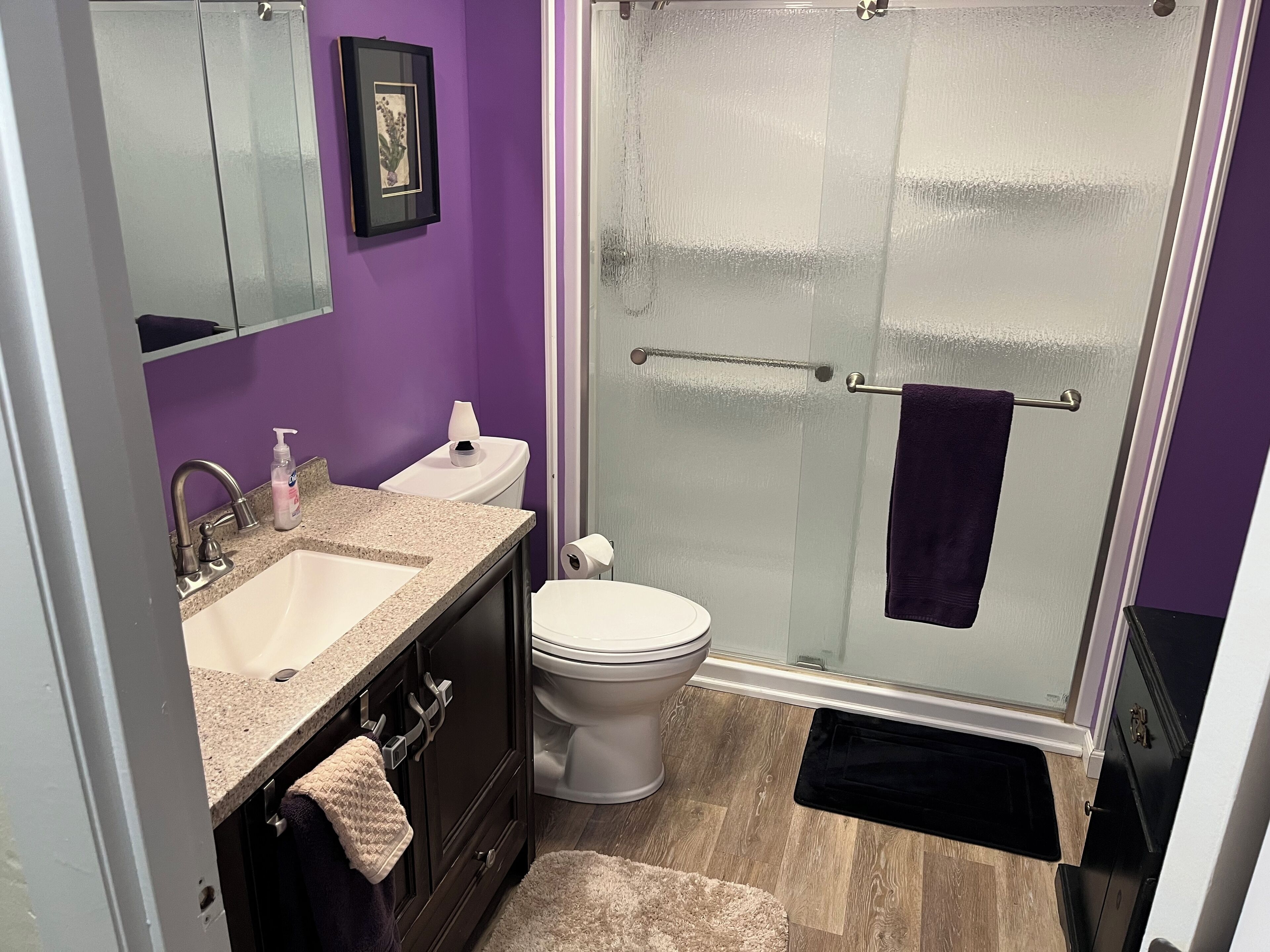 Shower, bidet, towels, toilet paper