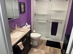 Shower, bidet, towels, toilet paper