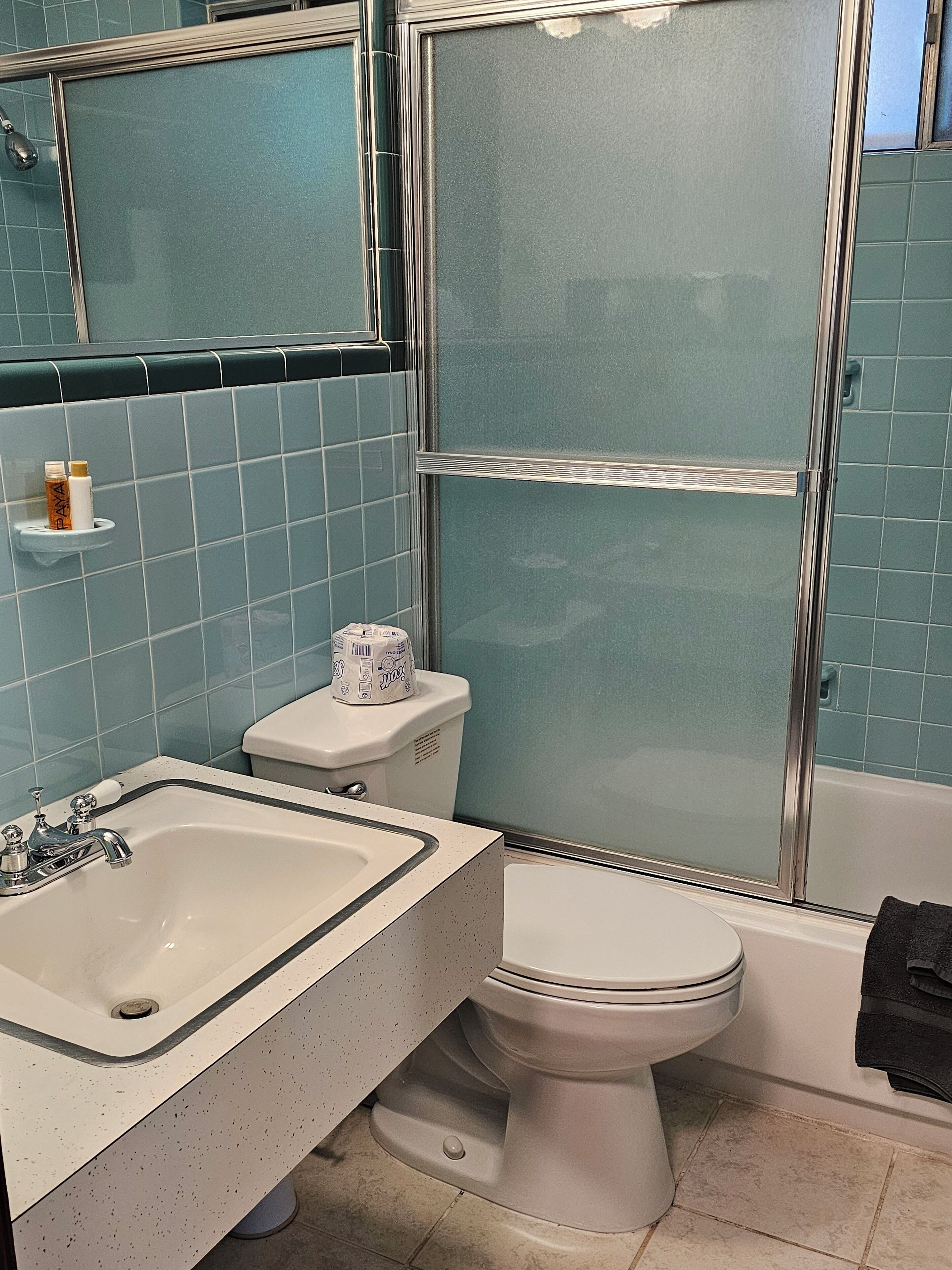 Une salle de bain avec un lavabo, des toilettes et une douche.
