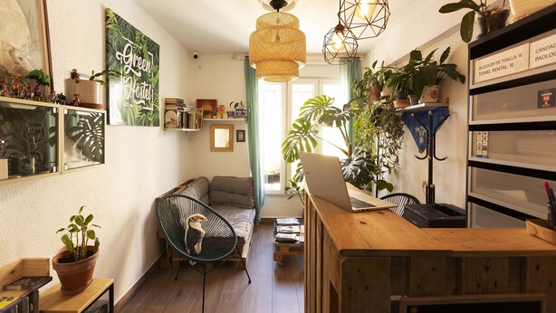 A cozy living room with a sofa, a chair, a wooden table with a laptop, and various plants. - Green Hostel (Oviedo)