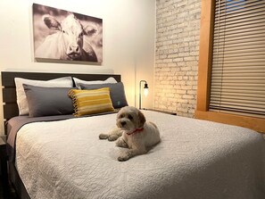 1 bedroom, iron/ironing board, free WiFi, bed sheets