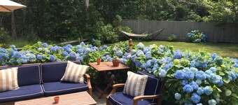 Bright, cozy cottage in Martha’s Vineyard less than a mile to town and beach.