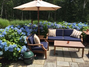 Terrace/patio - Bright, cozy cottage in Martha’s Vineyard less than a mile to town and beach. (Edgartown)