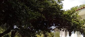 Small Vila nearby the beach and the center of the marathon