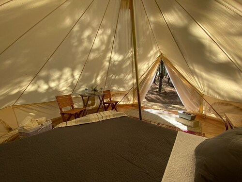 Hermosa Tienda Glamping Internada en el Bosque de Mascota; Jal