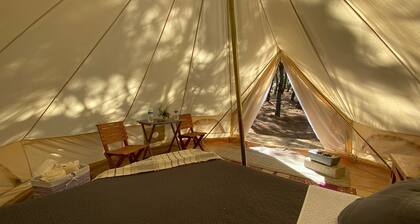 Hermosa Tienda Glamping Internada en el Bosque de Mascota; Jal