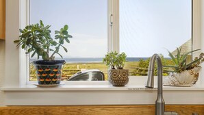 A kitchen with a window view, a stainless steel sink, and decorative potted plants on the windowsill. - Experience Sequim Charm & Amazing Lighthouse Views, by the Olympic National Park (Sequim)