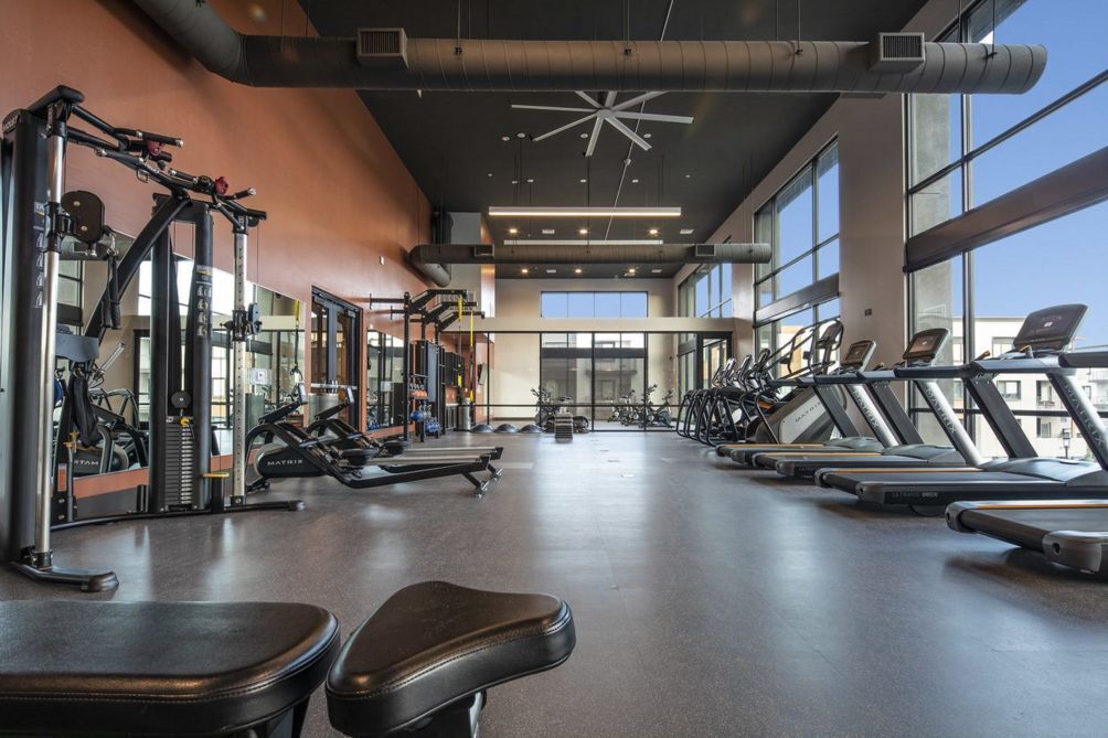 Una palestra con tapis roulant, macchinari per pesi e panche.