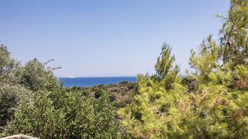 A coastal landscape with dense greenery and a clear view of the sea.