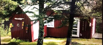Charming Island Cabin with Breathtaking Coastal Waterfront--Immerse in Serenity
