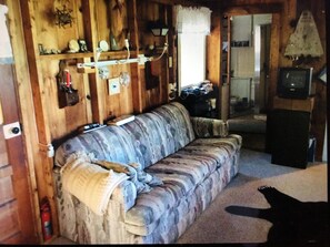 Una televisión, una chimenea, un reproductor de DVD, libros