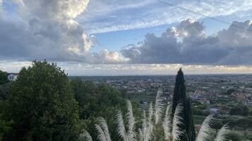 Vista panorámica de un paisaje urbano con un árbol destacado y cielo despejado.