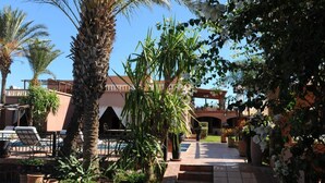 A courtyard with a pool, palm trees, and potted plants. - Villa Tata Marie Marrakech (Marrakech-Safi)