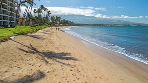 Une plage avec un hôtel sur la gauche, des palmiers et un ciel dégagé.