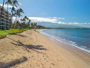 A beach with a hotel on the left, palm trees, and a clear sky.
