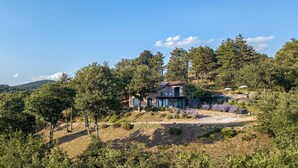 A house surrounded by trees and a clear sky.