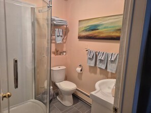 Douche, séchoir à cheveux, serviettes fournies, savon