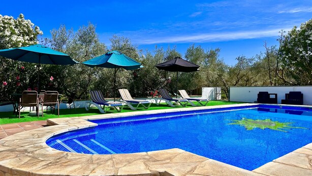 A swimming pool with lounge chairs and umbrellas, surrounded by greenery and a clear sky.