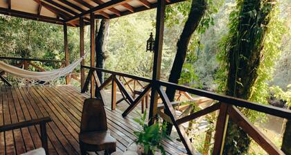 Margay - Reserva Natural y Lodge