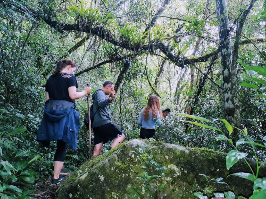 A group of people hiking through a dense forest with moss-covered rocks and thick vegetation.
