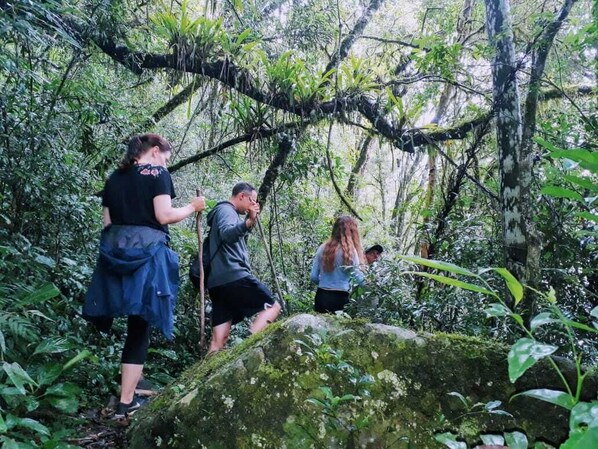 A group of people hiking through a dense forest with moss-covered rocks and thick vegetation.