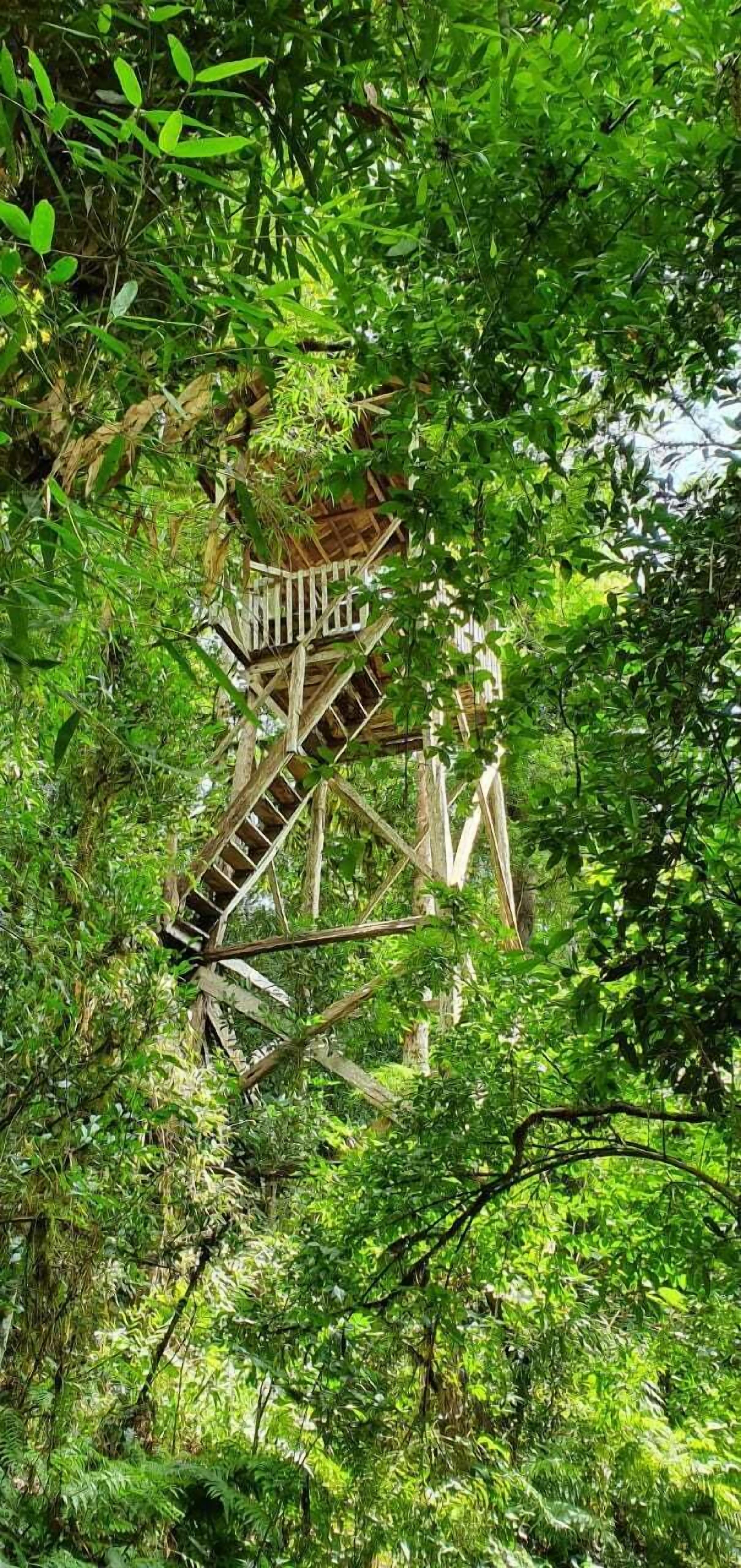 Khuôn viên nơi lưu trú