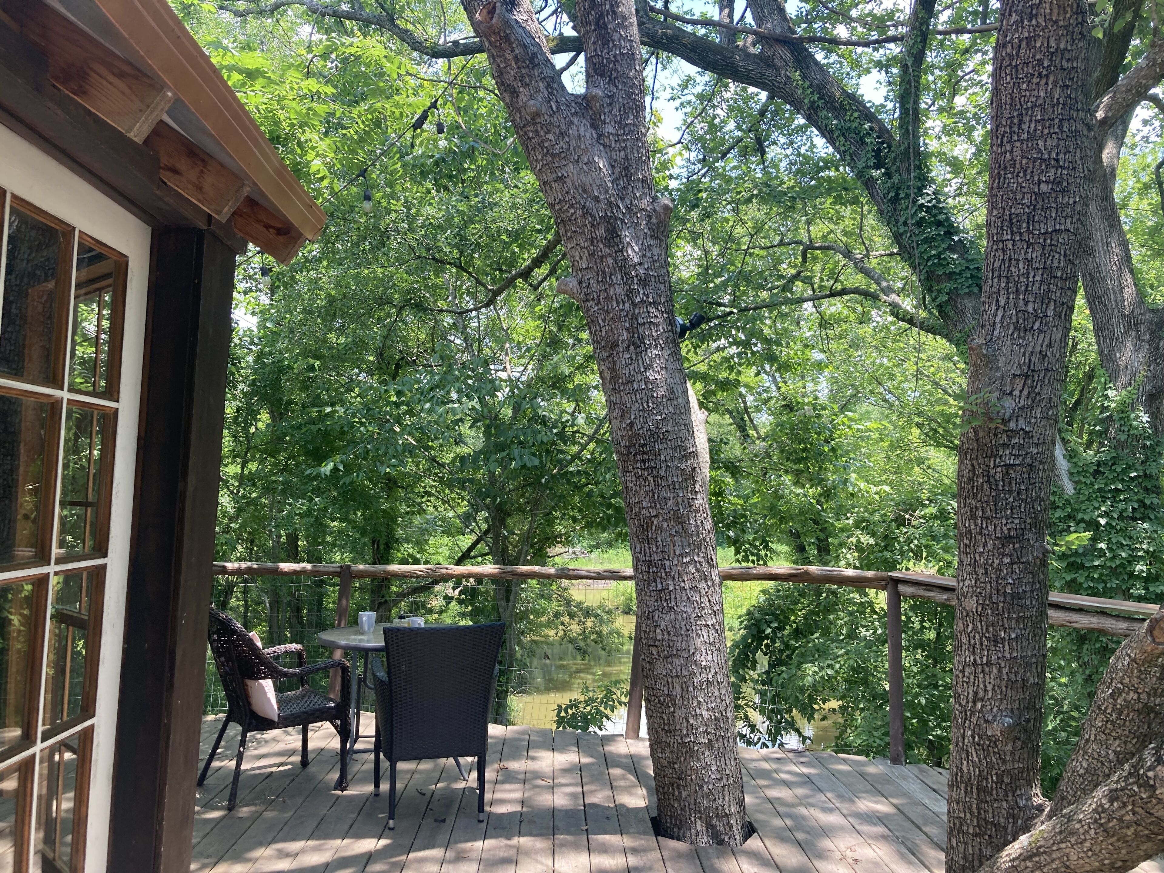 Une terrasse en bois avec une table et des chaises, donnant sur un étang et entourée d’arbres.