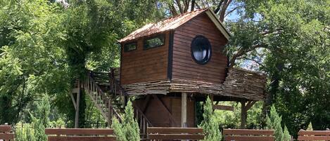 A wooden treehouse with a circular window, built on stilts, surrounded by benches and trees.