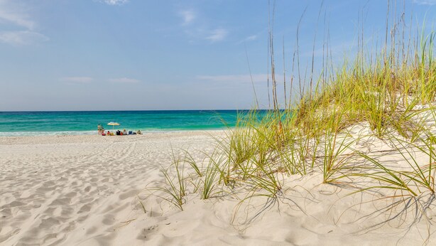 A beach with sand dunes and a clear blue sky. - Bayfront Pensacola Beach Condo w/ Pool & Elevator (Pensacola Beach)