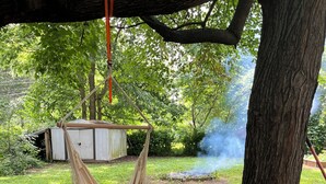 A hammock hanging from a tree, a shed, and a smoke source in a garden. - Red Tail Cottage: Full Fence, Hammock Chair, Walk to Bass Pro, Movie Night (Springfield)