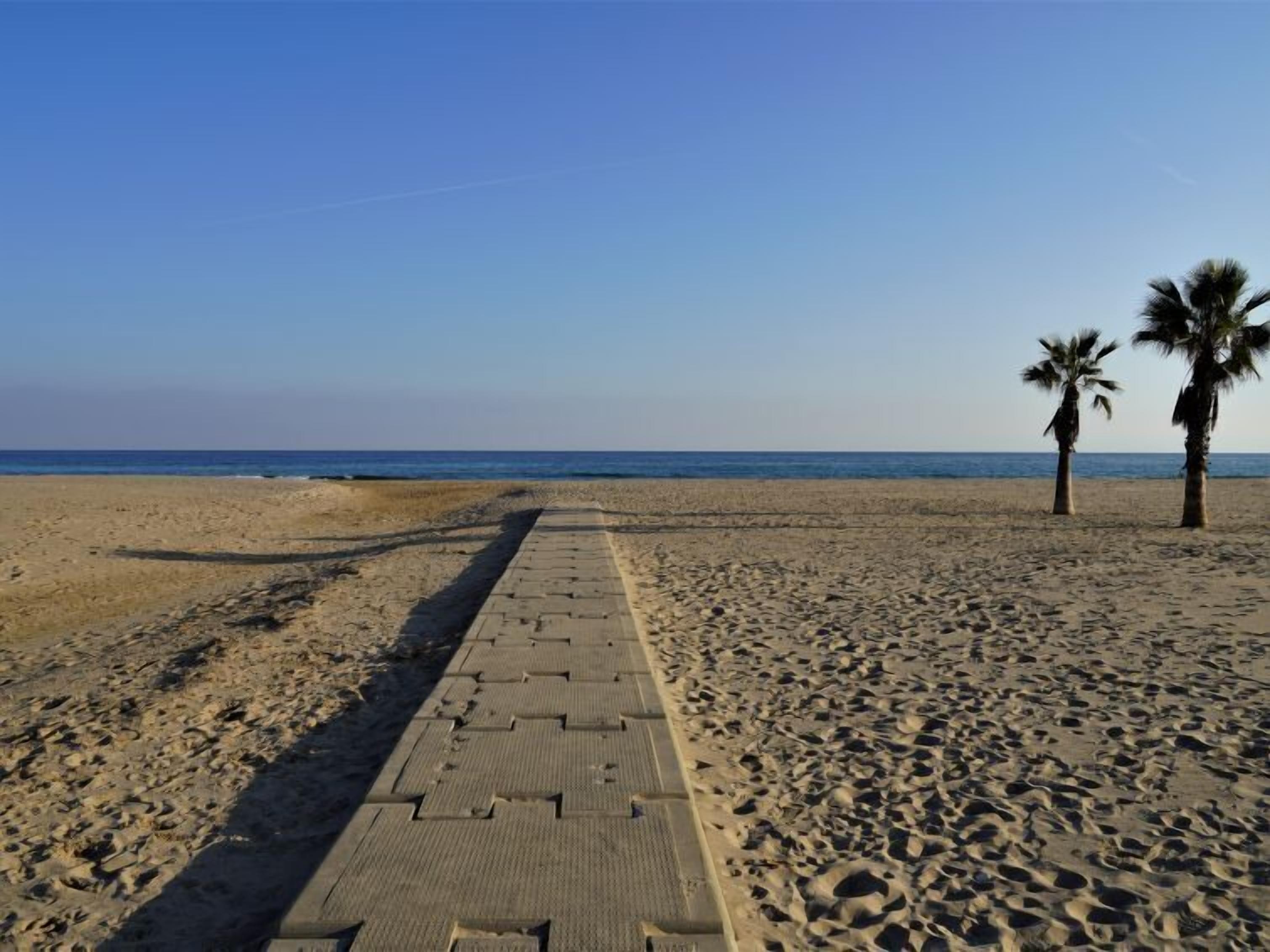 Een strand met een verharde promenade die naar de oceaan leidt, palmbomen en heldere lucht.