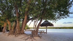 A beach with trees and a thatched structure. - Key Largo Relaxing Getaway (Key Largo)